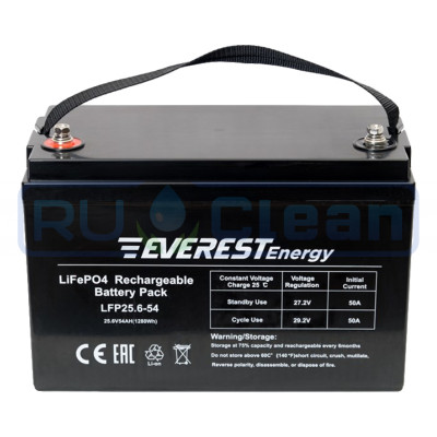 Тяговый аккумулятор Everest Energy (24В, 54Ач, LiFePO4)