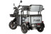 Трицикл электрический Wanshida UM+ 60V 1000Вт (серый)