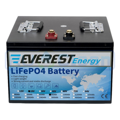 Аккумуляторная батарея Everest Energy (24В, 80Ач, LiFePO4)