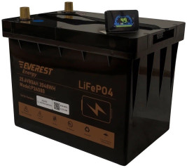 Тяговый аккумулятор Everest Energy LFP-2480 PRO (24В, 80Ач, LiFePO4)