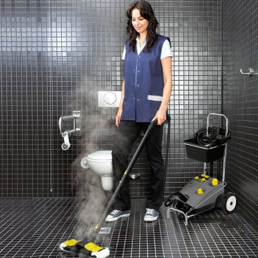 Пароочиститель Karcher DE 4002