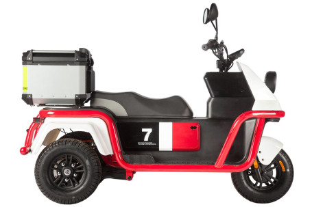 Трицикл электрический Wanshida DOUHAO (60V, 800W, черно-серый) (0000294-3068)