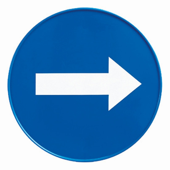 Табличка TTS Направление движения (23см, круглая, синий)