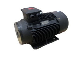 Электродвигатель TOR 14990 (22кВт, 380В, 1450об/мин, п.в. 24мм, Dфл 87мм, H132)