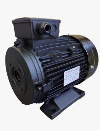 Электродвигатель Titan (18,5кВт, 380/220В, 1450об/мин, п.в. 24мм, Dфл 87мм, H160)