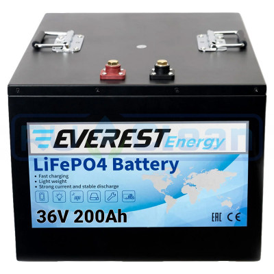 Тяговый аккумулятор Everest Energy (36В, 200Ач, LiFePO4)