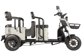 Трицикл электрический Wanshida LC300 (60V, 1000W, зеленый)