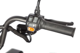 Трицикл электрический Wanshida LC300 (60V, 1000W, зеленый)