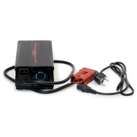 Зарядное устройство EVEREST Energy LFP-2430 (24В, 30А, для LiFePO4)