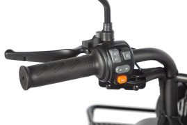 Трицикл электрический Wanshida LC300 (60V, 1000W, серый)