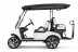 Гольф-кар Rutrike Classic 4 (48V, 3900Вт, белый) (026619-3279)