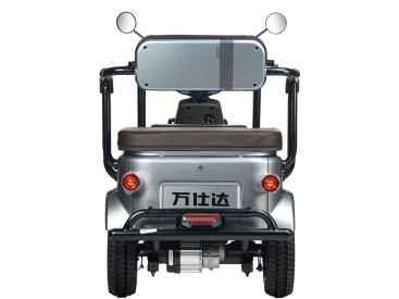 Трицикл электрический Wanshida U1-X 60V 800Вт (коричневый)