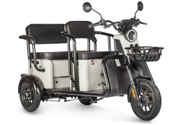 Трицикл электрический Wanshida LC300 60V 1000Вт (серый)