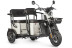 Трицикл электрический Wanshida LC300 60V 1000Вт (серый)