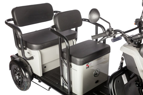 Трицикл электрический Wanshida LC300 60V 1000Вт (серый)