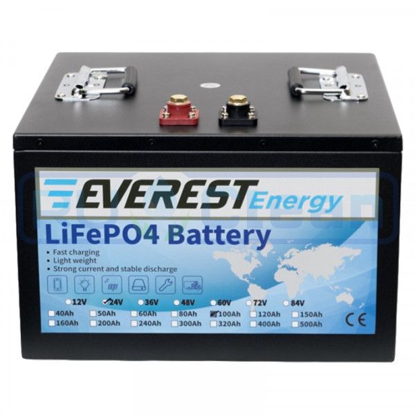 Тяговый аккумулятор Everest Energy (24В, 100Ач, LiFePO4)