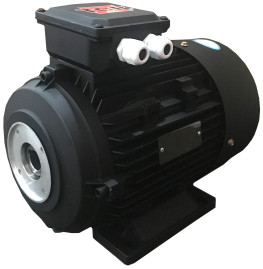 Электродвигатель TOR 14800 (11кВт, 380В, 1450об/мин, п.в. 24мм, Dфл 87мм, H132)