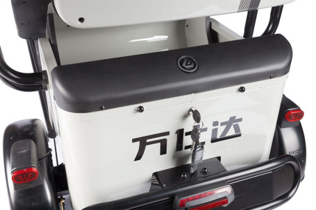 Трицикл электрический Wanshida LC300 60V 1000Вт (зеленый)