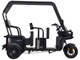 Трицикл электрический Wanshida NIPLA 570 60V 1000Вт (черный)