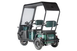 Трицикл электрический Wanshida NIPLA 500 (60V, 1000W, черно-зеленый)