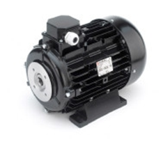 Электродвигатель Nicolini (5.5кВт, 380В, 1450об/мин, п.в. 24мм, Dфл 87мм, H112, с муфтой)