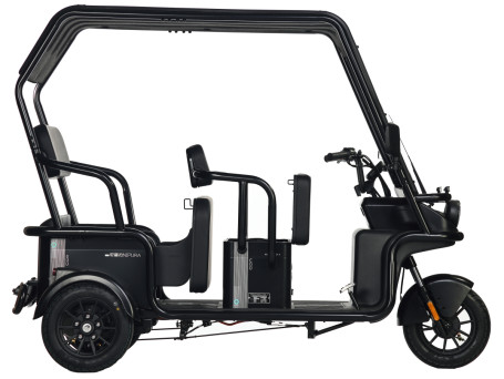 Трицикл электрический Wanshida NIPLA 570 60V 1000Вт (белый)