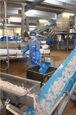 Лопата Vikan (1040мм, синий)