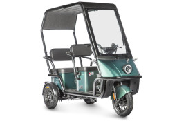 Трицикл электрический Wanshida NIPLA 500 60V 1000Вт (черно-зеленый)