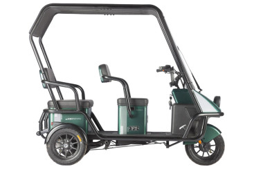 Трицикл электрический Wanshida NIPLA 500 60V 1000Вт (черно-зеленый)