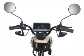 Трицикл электрический Rutrike Gelbert Atlas (48V/60V, 600 Вт, синий)