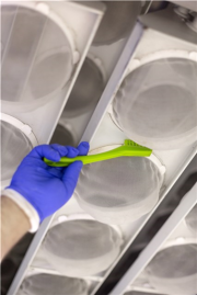 Щетка для чистки деталей Vikan (205мм, лаймовый)