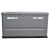 Генератор газовый EVOline GNG 13500 E