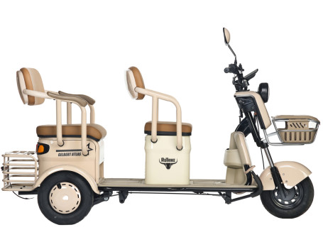 Трицикл электрический Rutrike Gelbert Atlas (48V/60V, 600 Вт, красный)