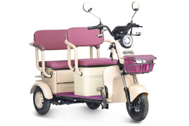 Трицикл электрический Rutrike Gelbert Atlas (48V/60V, 600 Вт, красный)