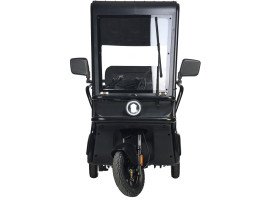 Трицикл электрический Wanshida NIPLA 570 (60V, 1000W, зеленый)