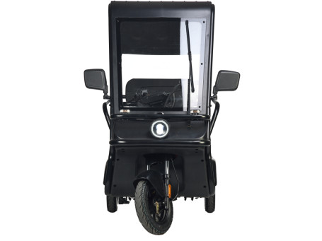 Трицикл электрический Wanshida NIPLA 570 (60V, 1000W, зеленый) (0000299-3089)