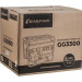 Генератор бензиновый CHAMPION GG3300