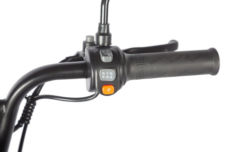 Трицикл электрический Wanshida HOT HATCH 60V 650Вт (черно-белый)