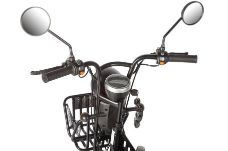 Трицикл электрический Wanshida HOT HATCH 60V 650Вт (черно-белый)