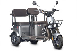 Трицикл электрический Wanshida U1-X (60V, 800W, серый)