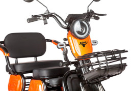 Трицикл электрический Rutrike Бумеранг (золотистый)