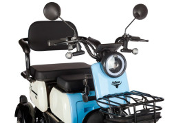Трицикл электрический Rutrike Вега (синий)